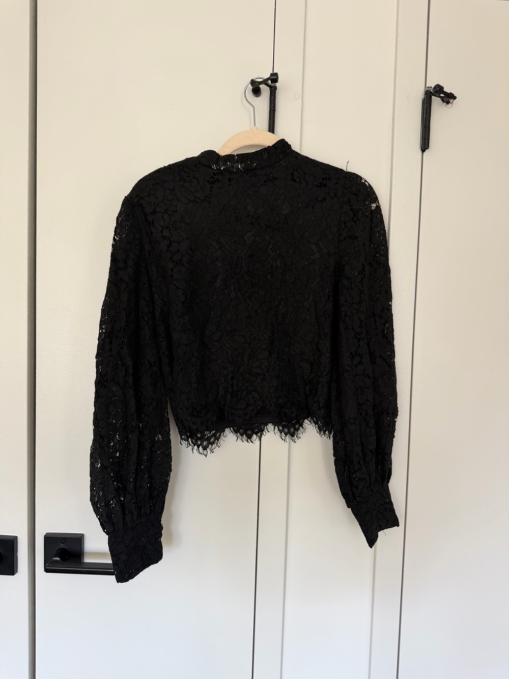 Vici Black Lace Long Sleeve Crop Blouse